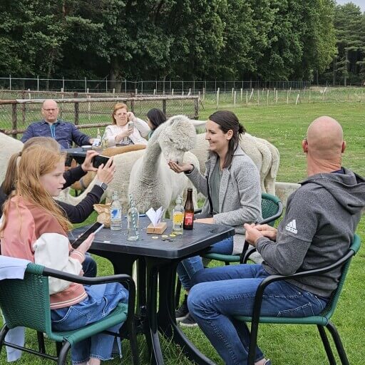 Ambras op het Terras
